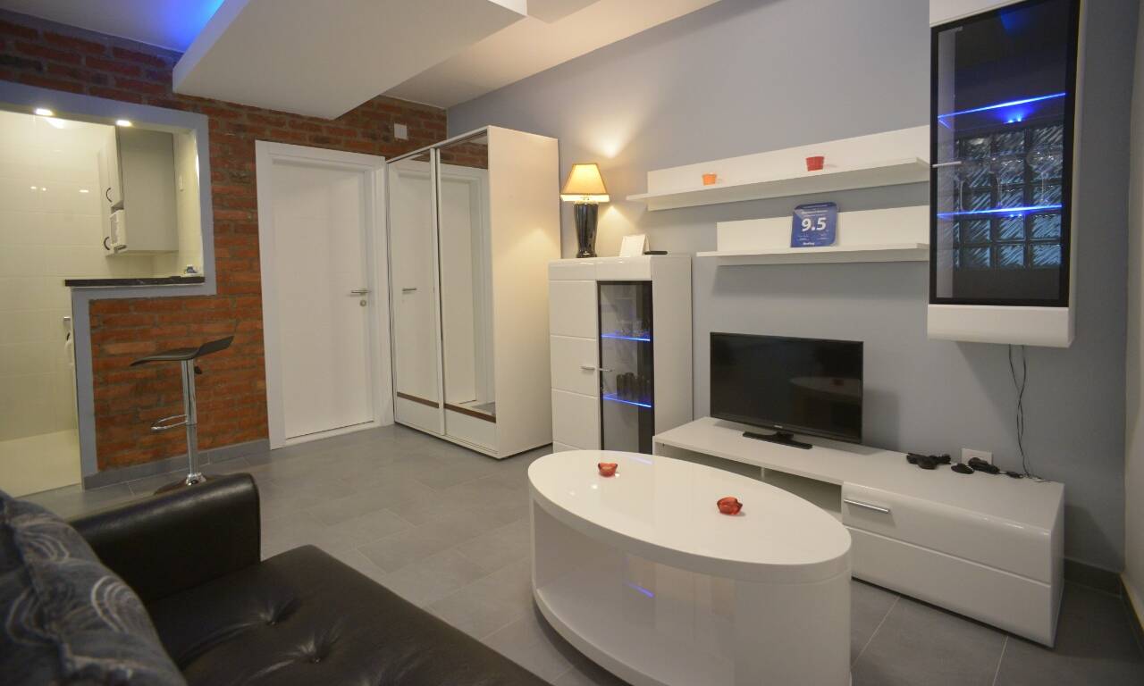 аренда_апартаментов_в_белграде_дорчол