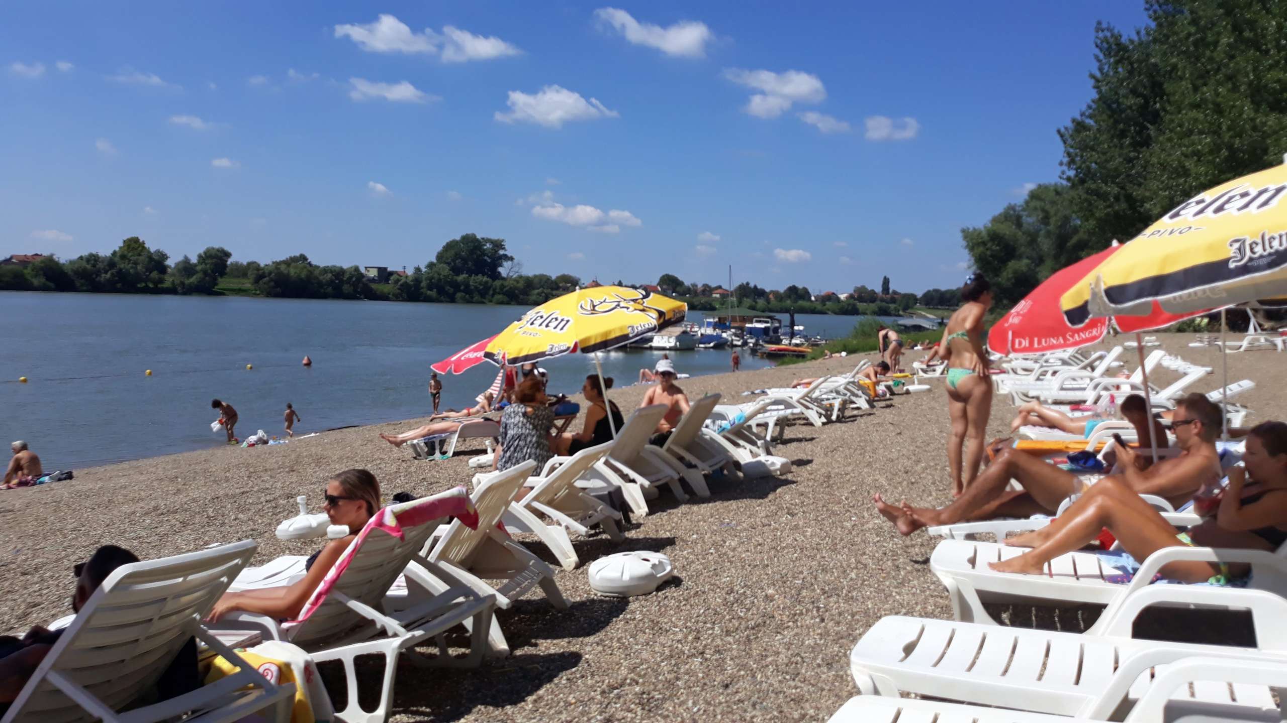 сремска_митровица_воеводина