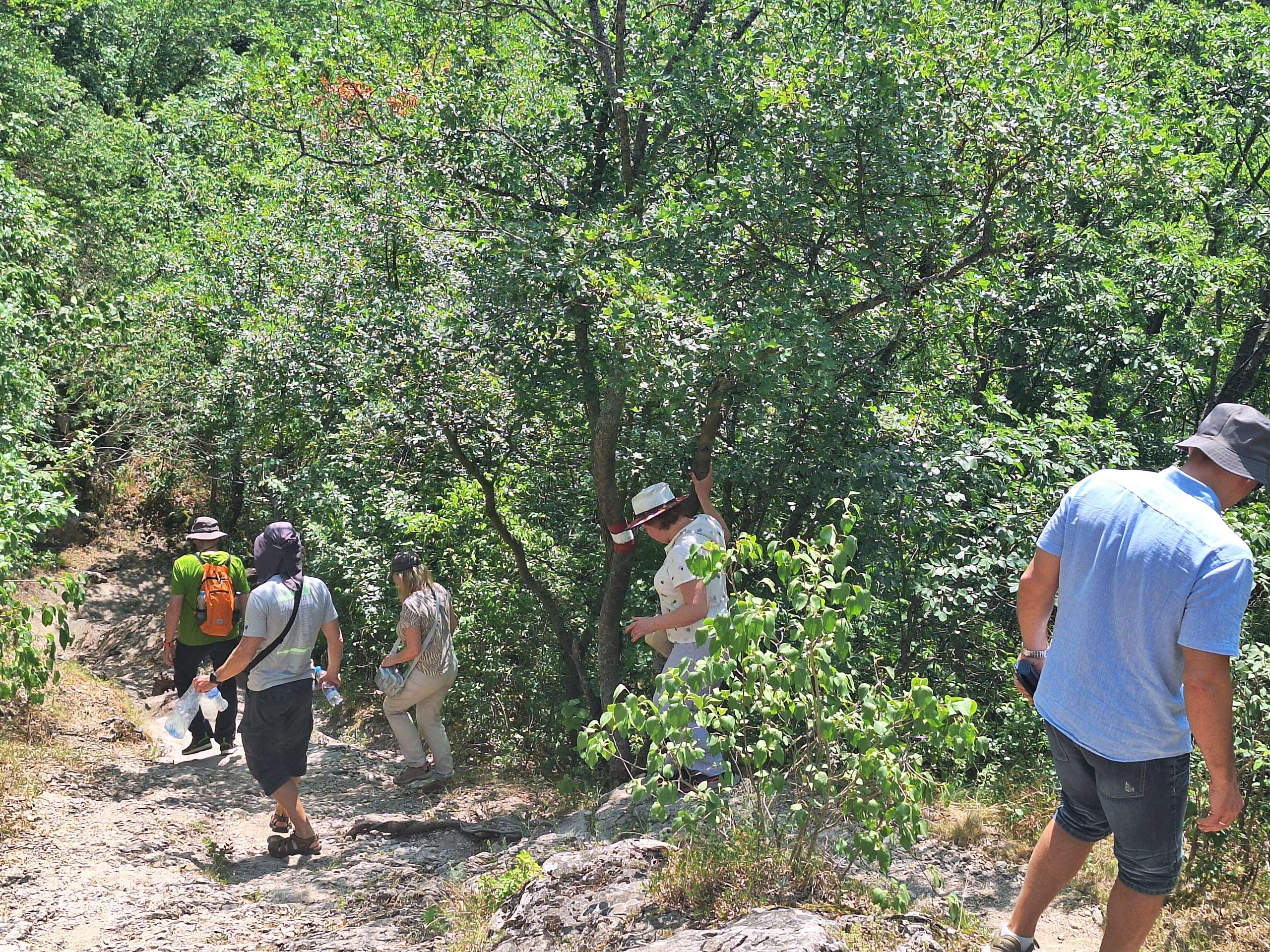 сельский_отдых_в_сербии