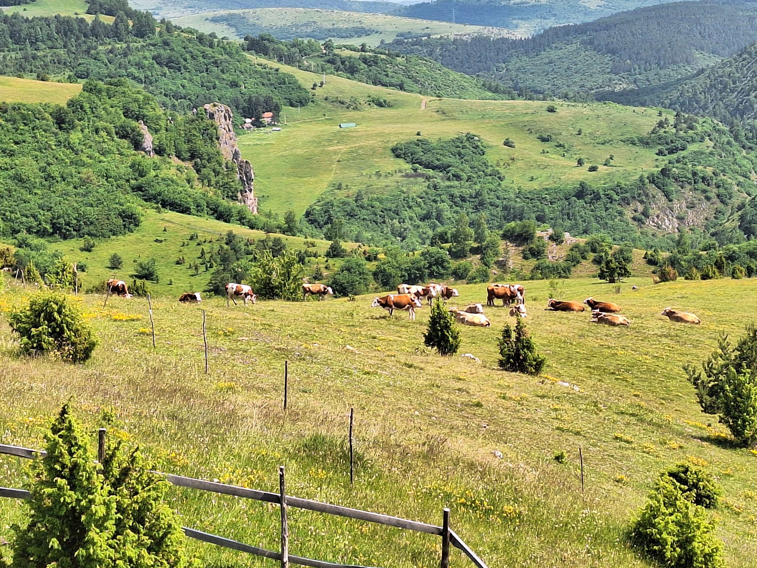 сельский_отдых_в_сербии